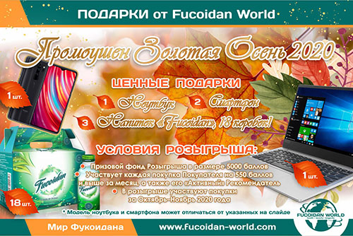 Промоушен «Золотая Осень 2020 года!»